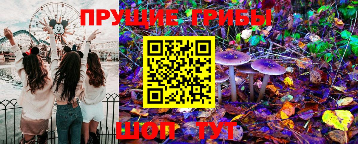 Лыткарино  Псилоцибиновые грибы Cubensis  Вход с VPN 